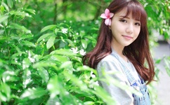 紫檀王剧情介绍